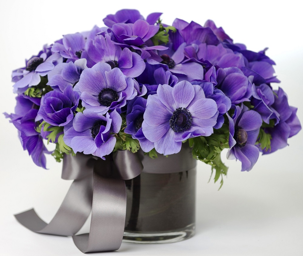 Bouquets Anemones Vase 465980